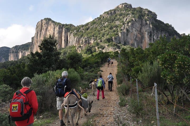 Donkey Treks in Sardinia: Transhumance Trails from Jerzu to Perda-e-Liana