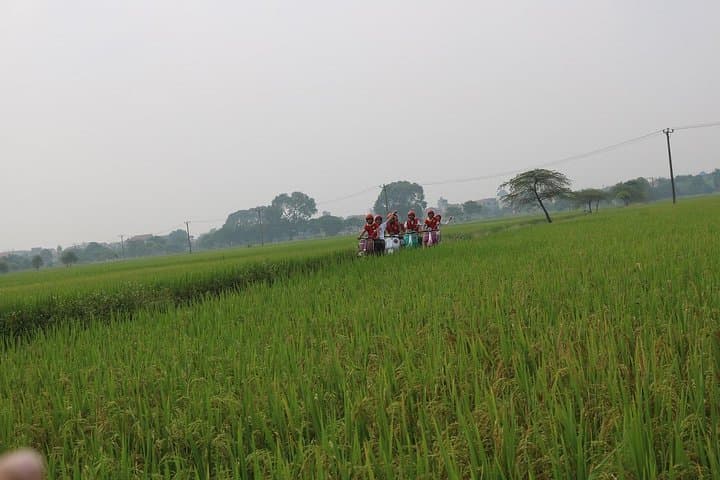 Hoi An Vespa Countryside Tour — Islands & Rural Villages (5-Hour Ride) photo 5