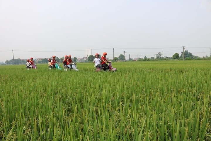 Hoi An Vespa Countryside Tour — Islands & Rural Villages (5-Hour Ride) photo 6