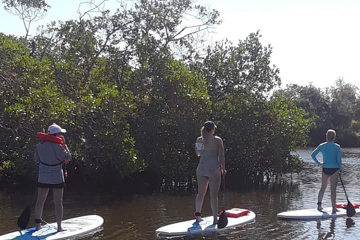 Naples Paddleboard Mangrove Tour: Explore Southwest Florida Backwaters photo 6