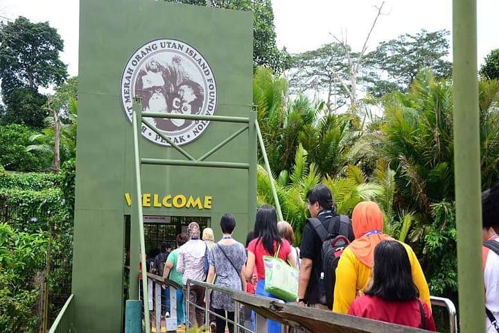 Private Orang Utan Island & Perak Tong Day Tour from Kuala Lumpur photo 2