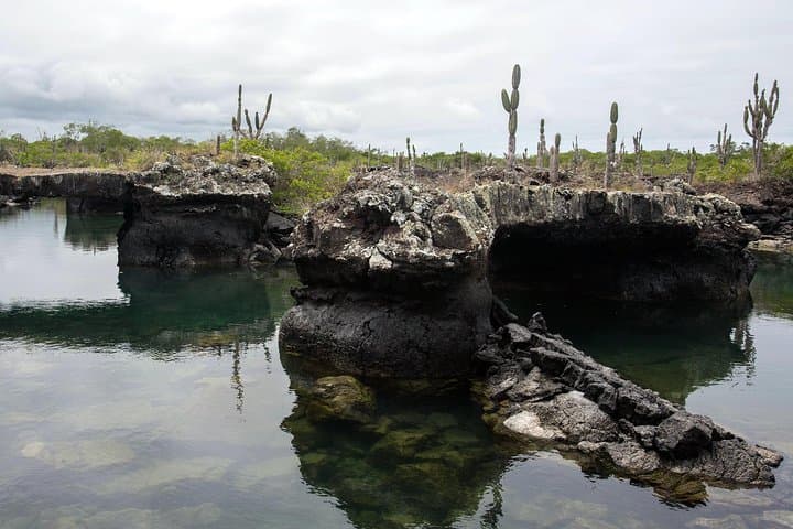 5-Day Galapagos & Los Tuneles Tour — Isabela and Santa Cruz Adventure photo 2