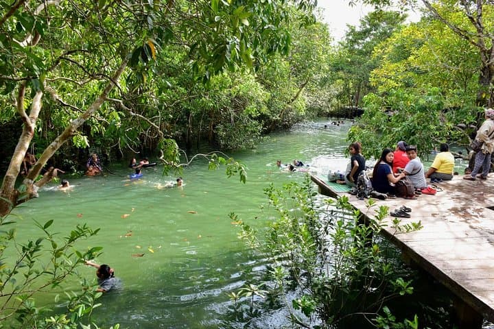 Khao Sok Jungle Safari & Cheow Lan Lake: 3-Day Explorer from Krabi photo 2