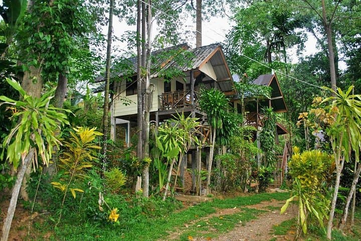 Khao Sok Jungle Safari & Cheow Lan Lake: 3-Day Explorer from Krabi photo 5