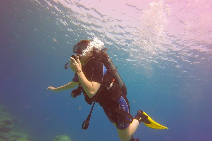 Discover Scuba Diving in Ayia Napa: Beginner Dives, Turtle Sightings & Statue Garden photo 6