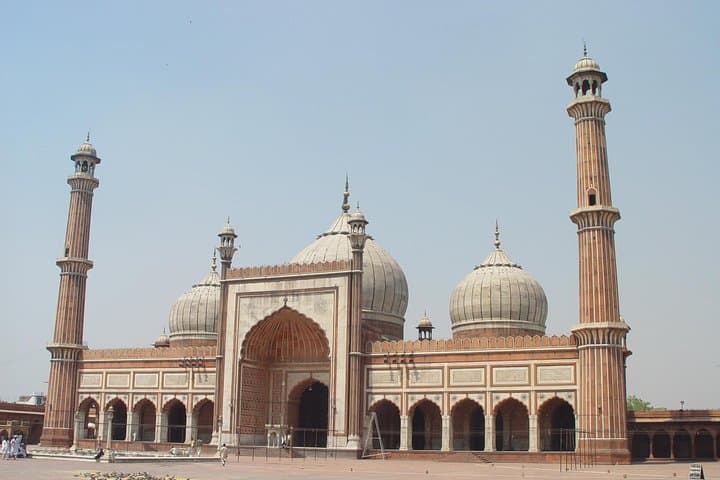 Classical Rajasthan Tour: Forts, Havelis & Desert Camel Safari (8-Day) photo 5