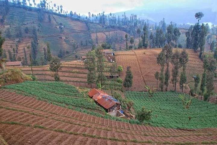3-Day Tumpak Sewu, Bromo & Ijen Tour from Surabaya photo 6