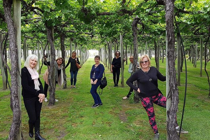 Taste the Valley Wine Tour — Marlborough Cellar Door Tastings from Blenheim photo 5