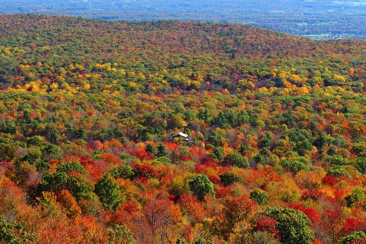 Private Hudson Valley Fall Foliage Helicopter Charter from Manhattan photo 4