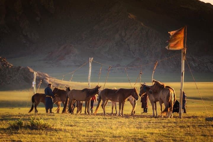 Best 5-Day Central Mongolia Tour — Hustai, Elsen Tasarkhai & Kharkhorin photo 6