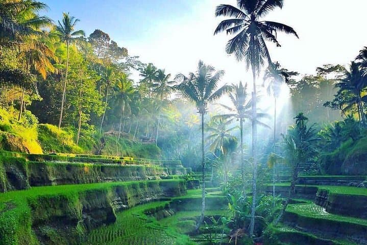 Private Bali Car & Driver — Custom Half‑ and Full‑Day Tours from Kuta photo 2