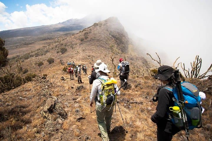 6-Day Machame Route Trek to Mount Kilimanjaro — Summit Uhuru Peak photo 2