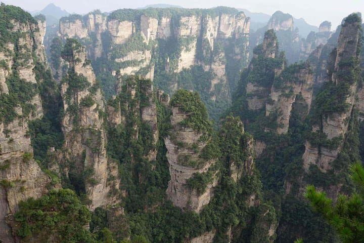 Zhangjiajie National Forest Park & Tianzi Mountain: Day Trip to the Avatar Pillars photo 4