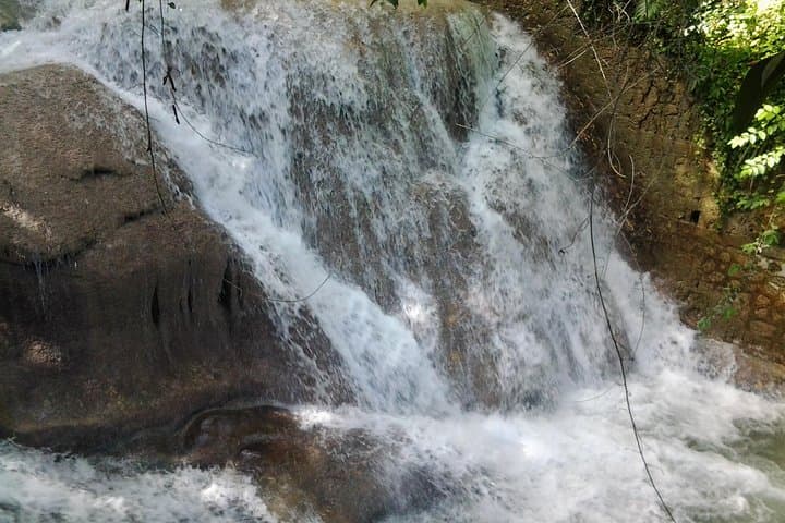 Dunn's River Falls Excursion from Montego Bay — Climb Jamaica’s Cascading Terrace photo 4