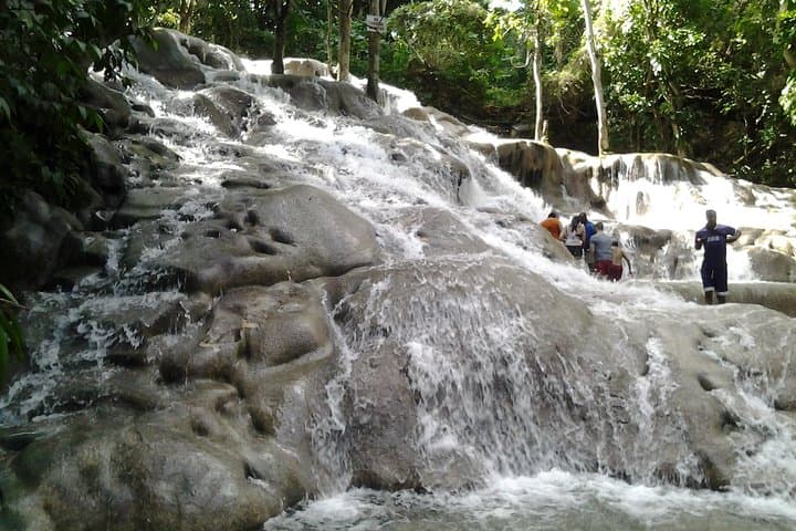 Dunn's River Falls Excursion from Montego Bay — Climb Jamaica’s Cascading Terrace photo 5