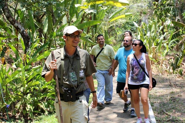 5-in-1 Adrenaline Junkie: Zipline, High Ropes & Jungle Circuit near Jaco photo 5