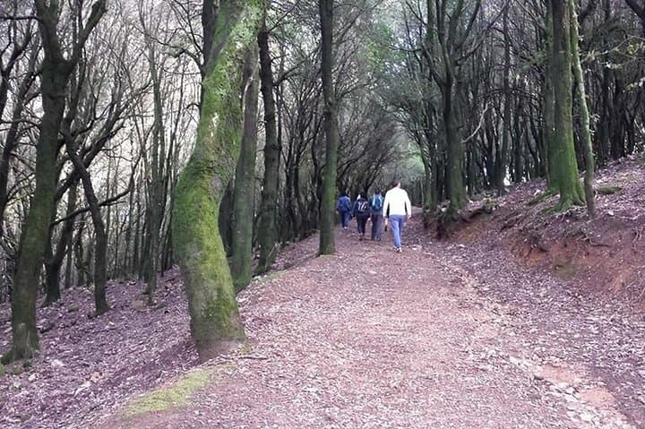 Jeep and Walking Through Is Cannoneris: Private Nature Reserve Tour from Chia photo 6