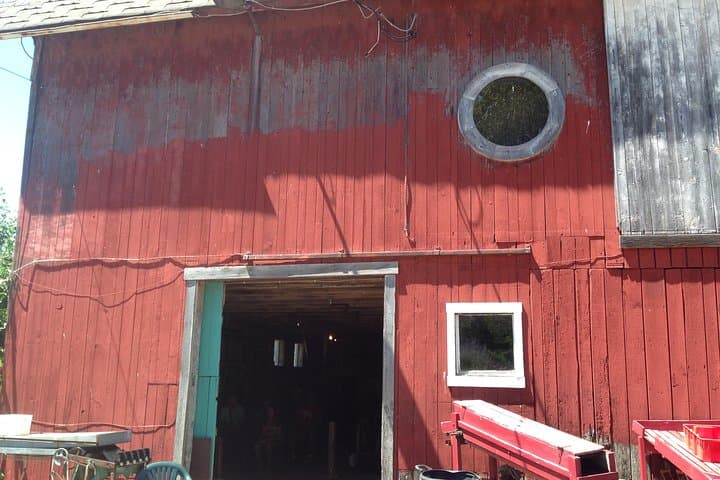 Niagara Falls Underground Railroad Heritage Tour — Falls, Fortitude & Local History photo 3