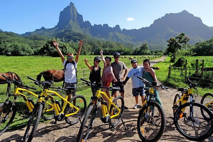 E-Bike to Moorea's Belvedere Lookout: Pineapple Fields, Marae, and Bay Views photo 2
