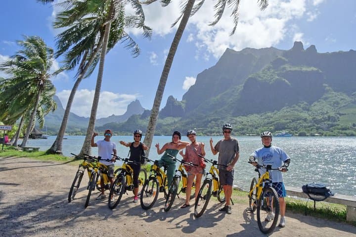 E-Bike to Moorea's Belvedere Lookout: Pineapple Fields, Marae, and Bay Views photo 6