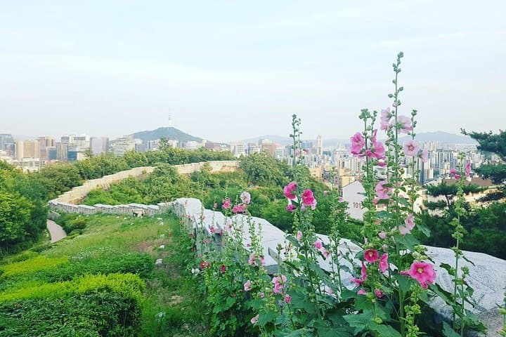 Sunset Hike Along Seoul Fortress Wall & Seafood Market Experience photo 6