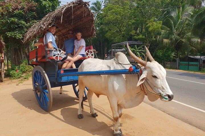 Sigiriya Day Tour: Climb the Lion Rock, Dambulla Caves & Hiriwadunna Village photo 2