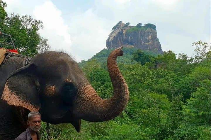 Sigiriya Day Tour: Climb the Lion Rock, Dambulla Caves & Hiriwadunna Village photo 5