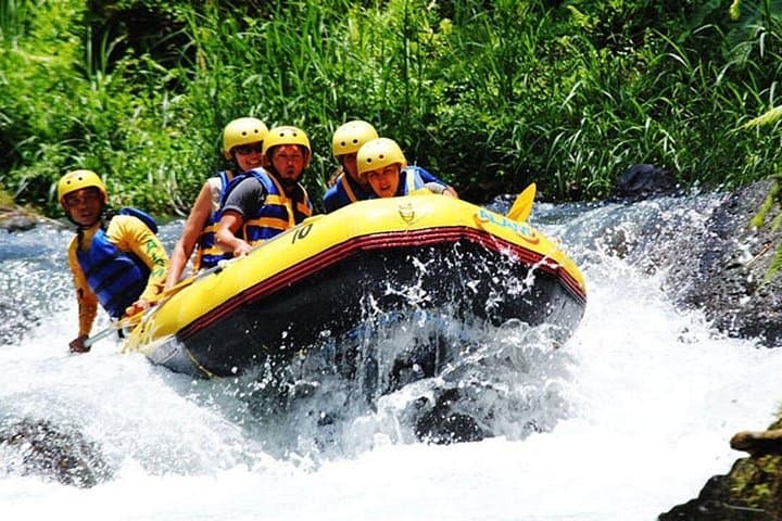 Telaga Waja River Rafting Bali: Full-Day Whitewater Trip with Waterfalls & Hotel Transfer photo 4