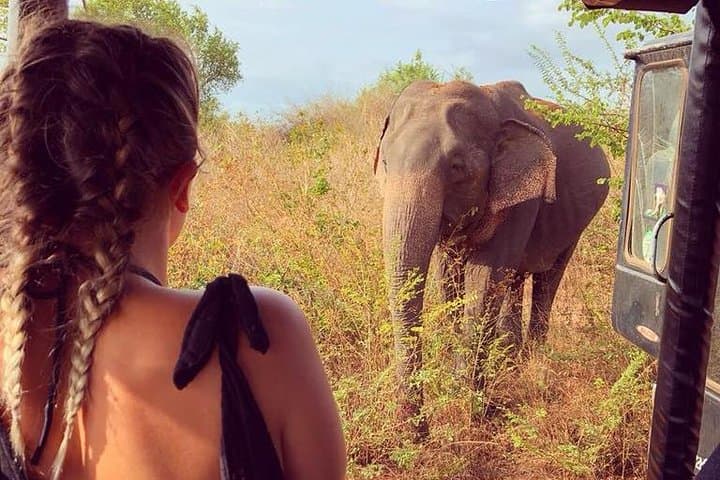 Udawalawe Elephant Safari Day Trip from Wadduwa — Guaranteed Elephant Sightings photo 1