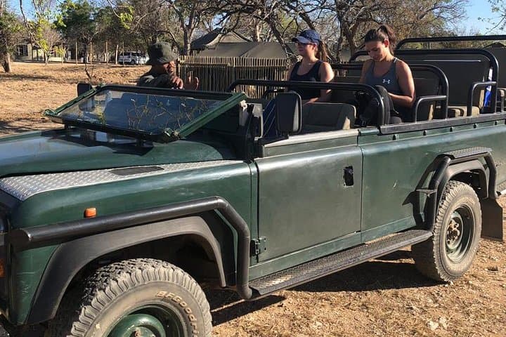 5-Day Manyeleti Safari: Big Five Open-Vehicle Adventure from Johannesburg photo 4