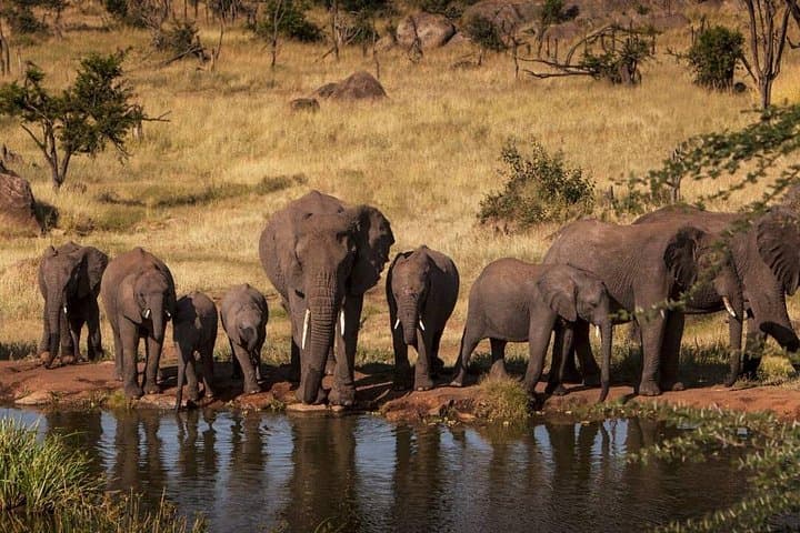 12-Day Tanzania Safari: Wildlife, Craters & Cultural Encounters photo 3