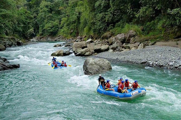 Pacuare River Rafting: Full-Day Class III–IV Adventure from San José photo 4