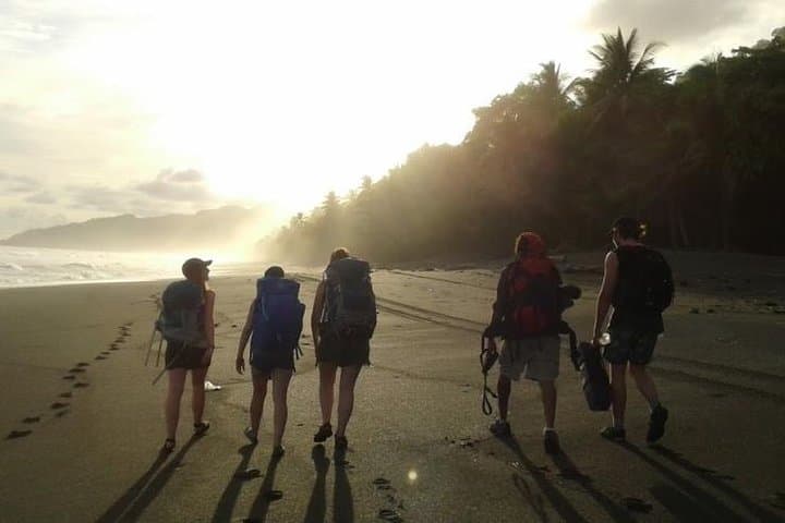 Day Trip to Corcovado National Park: Mangroves, Dolphins & Rainforest Hike photo 6