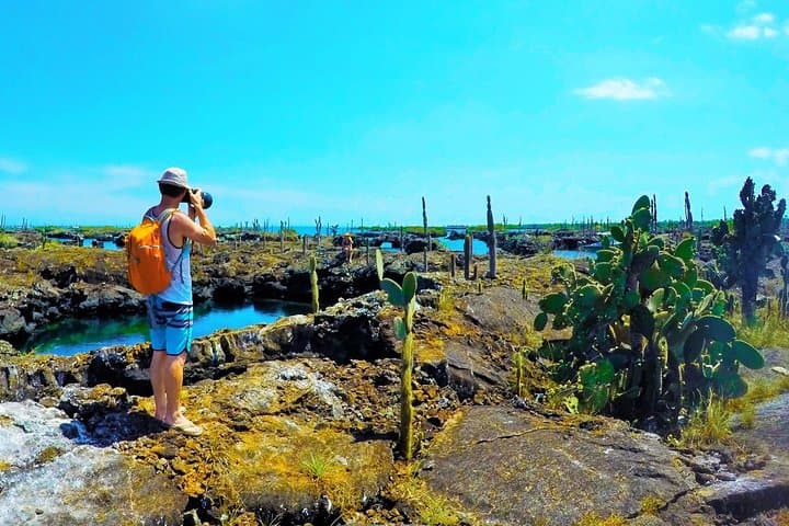 5-Day Galapagos Island Hopping Classic: Islands, Sharks and Giant Tortoises photo 4