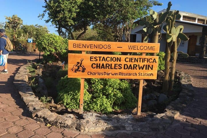 4-Day Galapagos Classic: Island Hopping Santa Cruz, Bartolomé & North Seymour photo 2