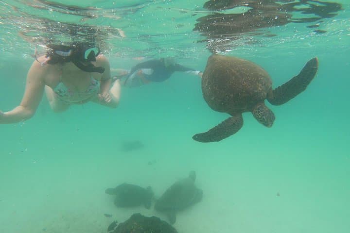4-Day Galapagos Classic: Island Hopping Santa Cruz, Bartolomé & North Seymour photo 3