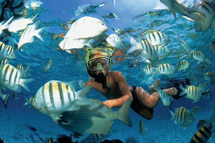 Catamaran Snorkel & Beach Club Day Trip to Isla Mujeres — Lunch, Drinks & Reefs photo 3