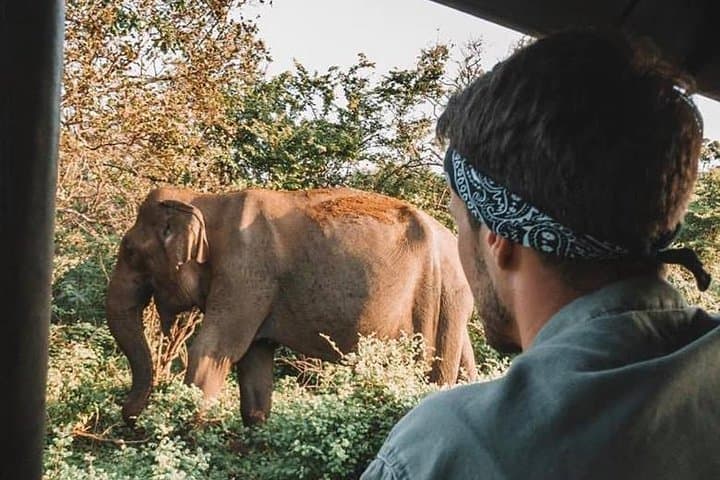 Two-Day Safari: Udawalawe & Yala National Park from Colombo photo 5