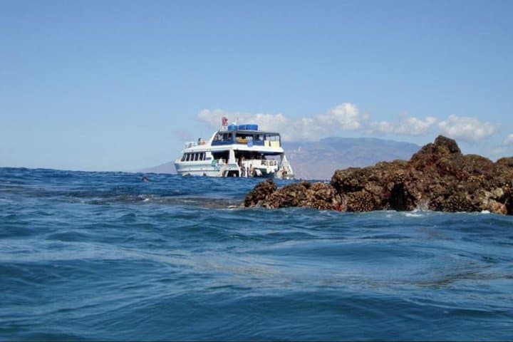 Maalaea Whale Watching Aboard the Quicksilver: 2-Hour Maui Catamaran Cruise photo 5