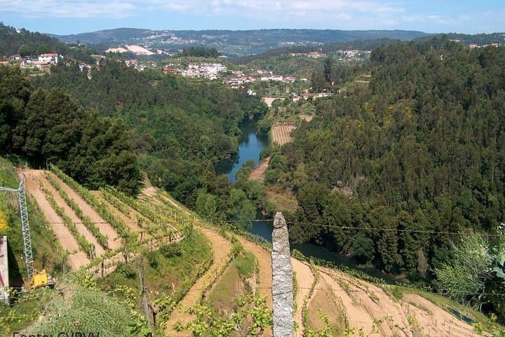 Alvarinho Route: Private Wine & Gastronomy Tour to Melgaço and Monção photo 1