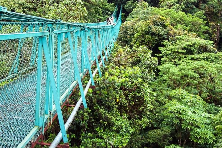 Monteverde Hanging Bridges Day Trip from San Jose: Cloud Forest Walks & Wildlife photo 5