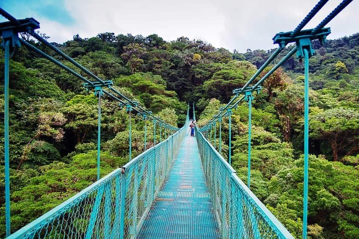 Monteverde Hanging Bridges Day Trip from San Jose: Cloud Forest Walks & Wildlife