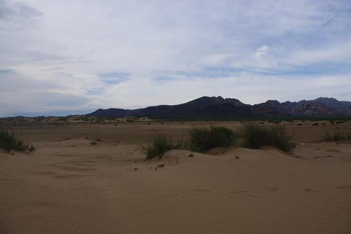 Semi-Gobi Day Tour from Ulaanbaatar: Dunes, River Views & Camel Rides photo 5