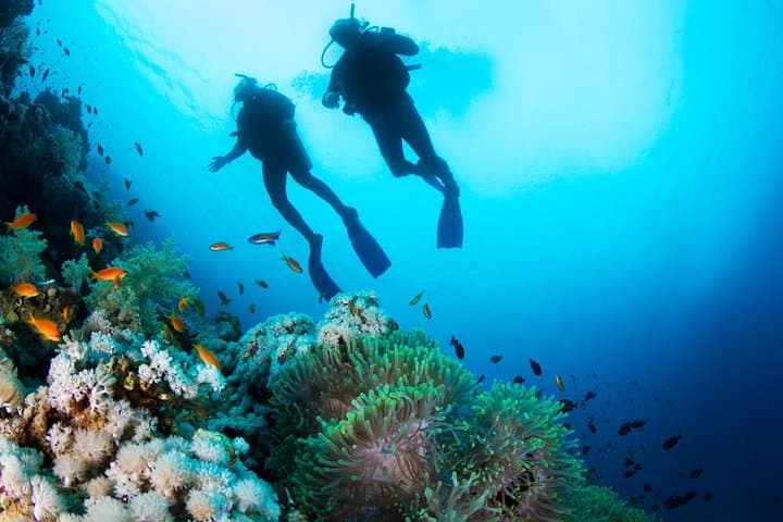 Red Sea Two-Tank Dive Trip from Hurghada — Day Boat Diving & Snorkel photo 5