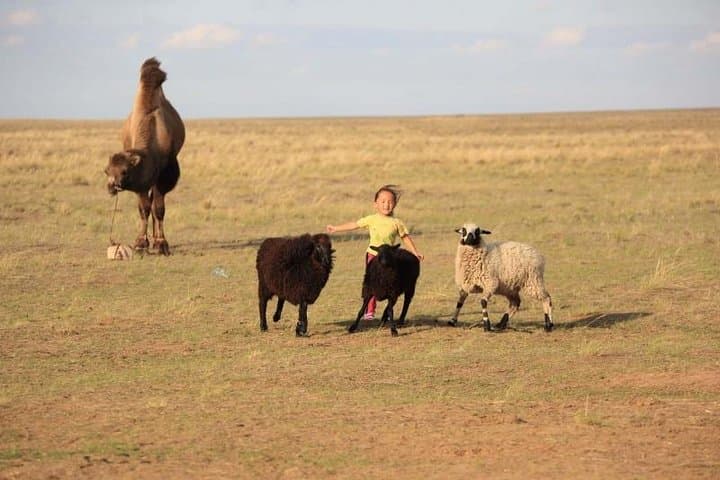 Semi-Gobi Day Tour from Ulaanbaatar: Dunes, River Views & Camel Rides photo 3