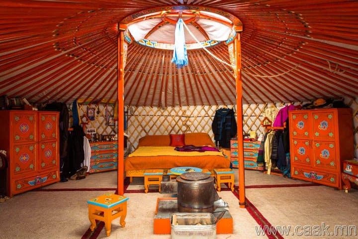 Exploring Hustai National Park: Mongolia’s Wild Horse Sanctuary and Scenic Adventure photo 6