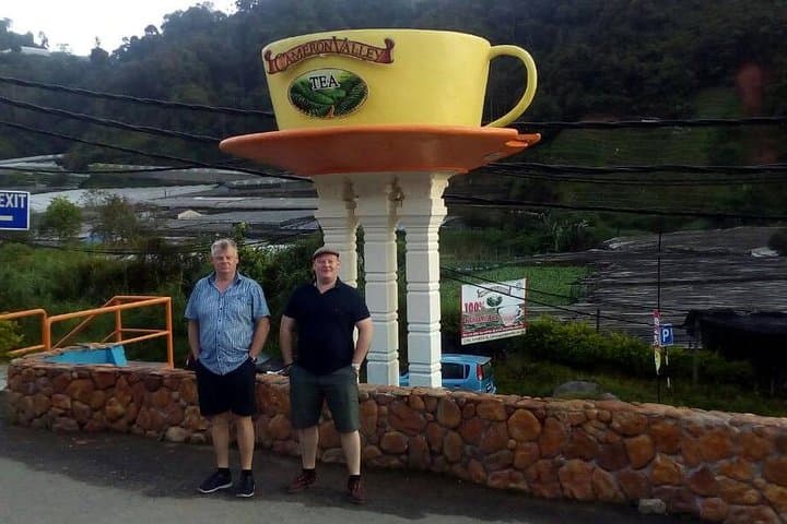 Exploring Cameron Highlands Mossy Forest: A Mist-Shrouded Boardwalk Adventure