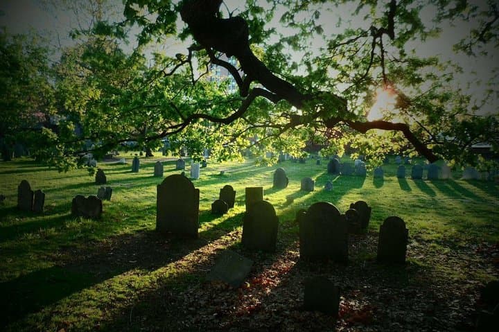 Salem Storywalk: 2.5-Hour Historical & Sightseeing Guided Walk photo 2