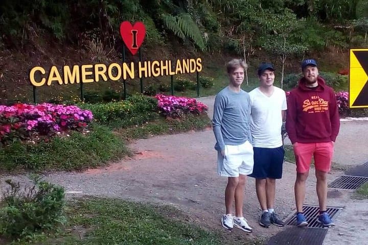 Cameron Highlands Rafflesia Explorer: Full-Day 4x4 Trek & BOH Tea Plantation