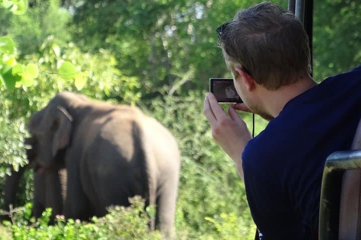 Full-Day Yala Safari from Hambantota Harbour — Leopard Watching & Picnic Lunch